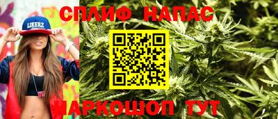 apvp Краснознаменск