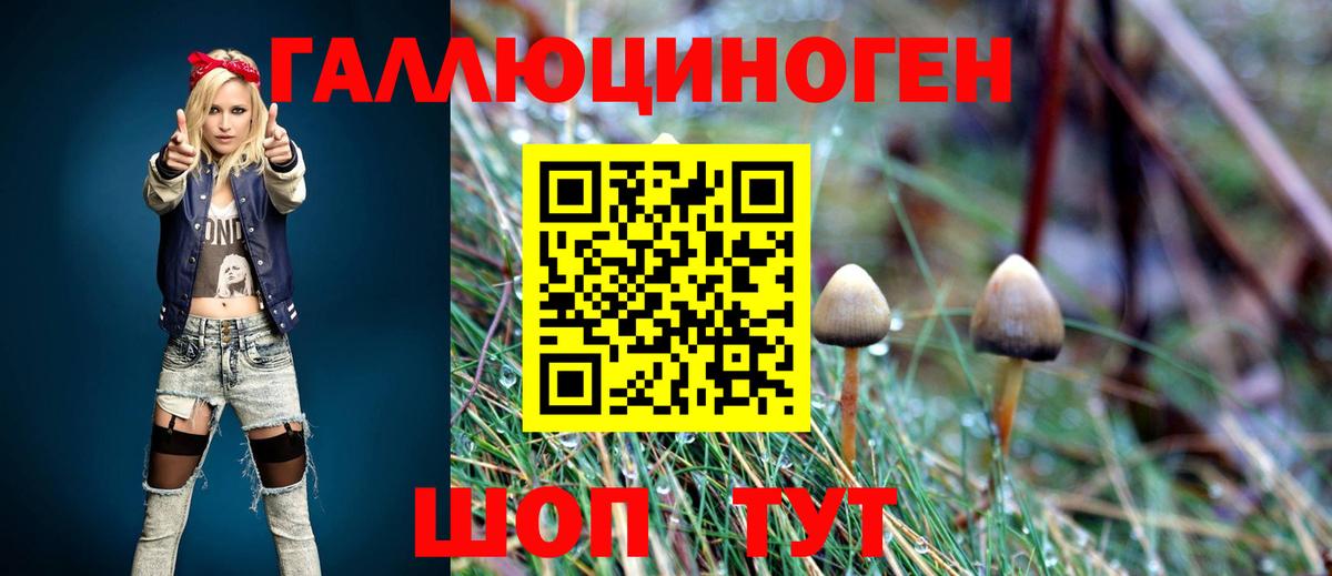 Псилоцибиновые грибы Psilocybine cubensis  Вход с VPN  Кириши 